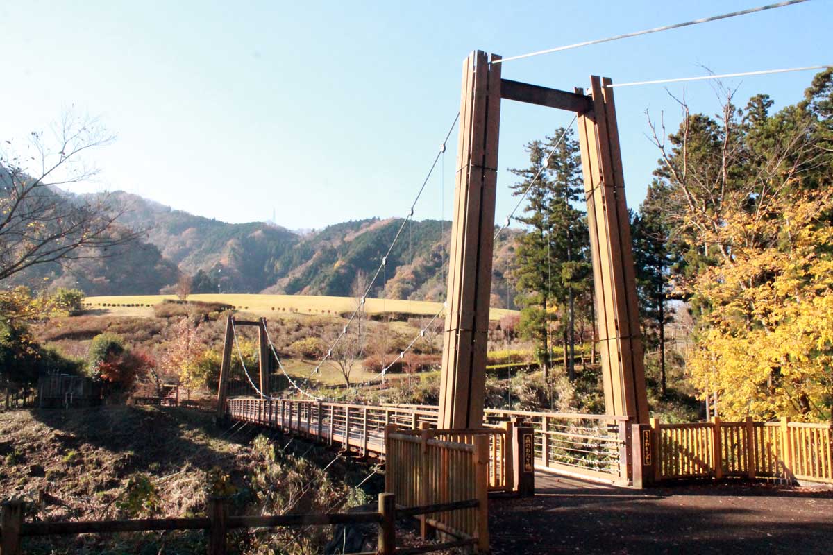 木製の橋の写真