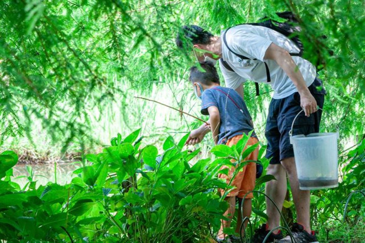 様々な生き物が生息