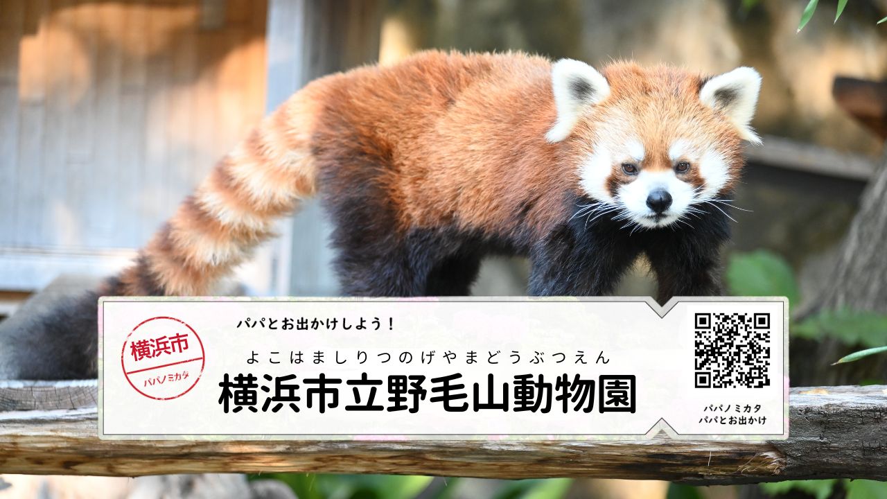 パパとお出かけ 野見山動物園