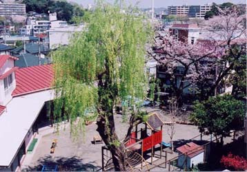 戸塚第二幼稚園の写真