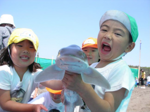 宝島幼稚園 子育て支援情報サービスかながわ